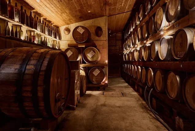 Visita in Cantina nel Monferrato – Degustazione & Tradizione